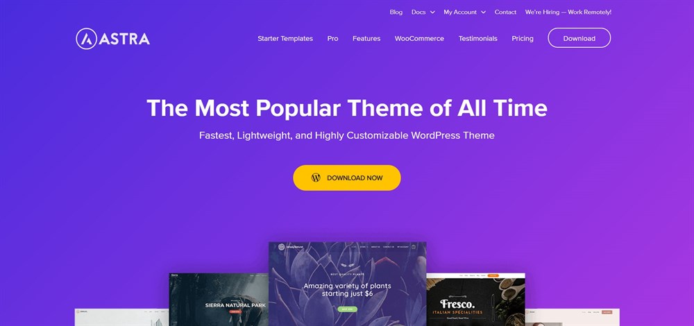 Astra Fastest WordPress theme