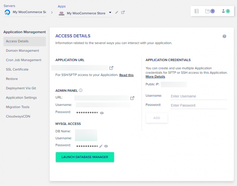 Cloudways hosting dashboard screenshot on the backend