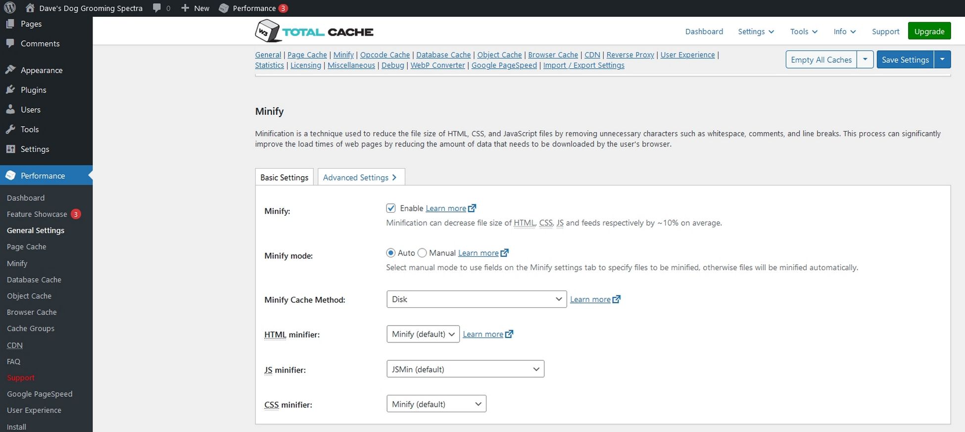 Minify settings