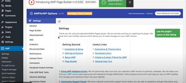 AMP for WP settings