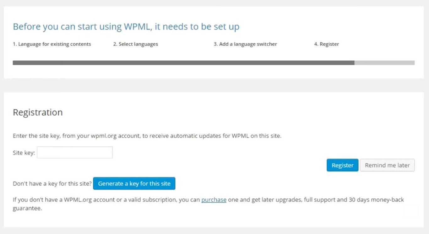 WPML language registration image