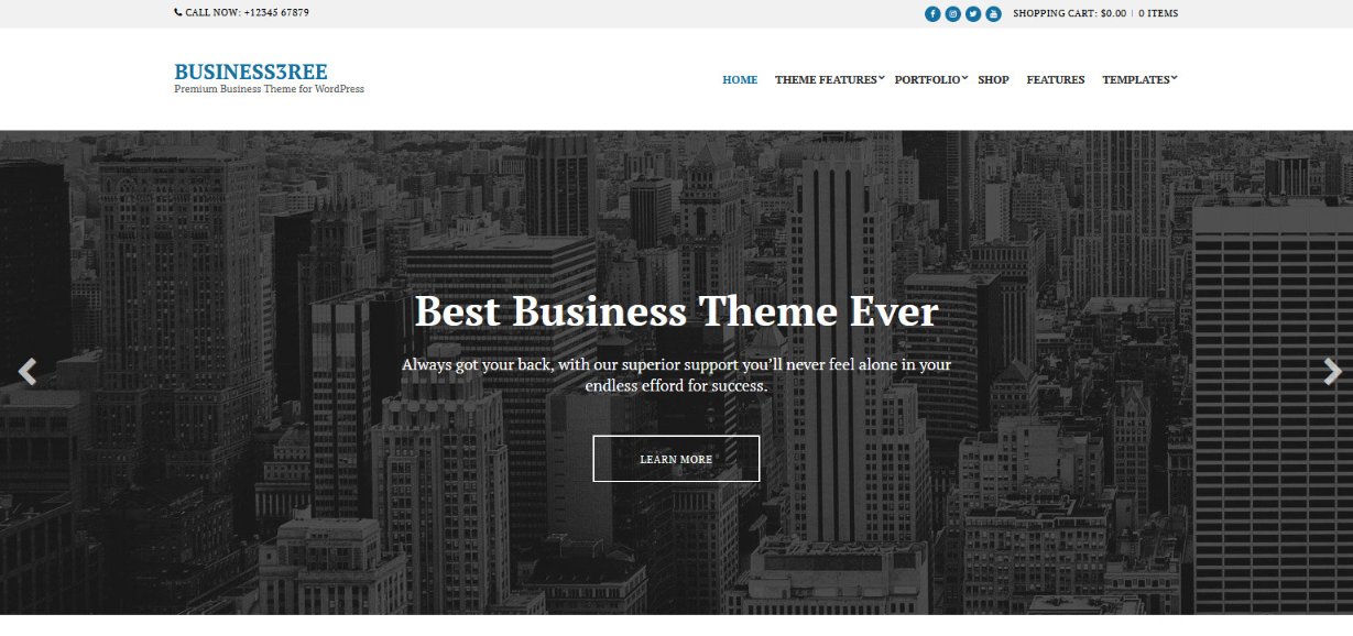 BUSINESS3REE wordpress theme