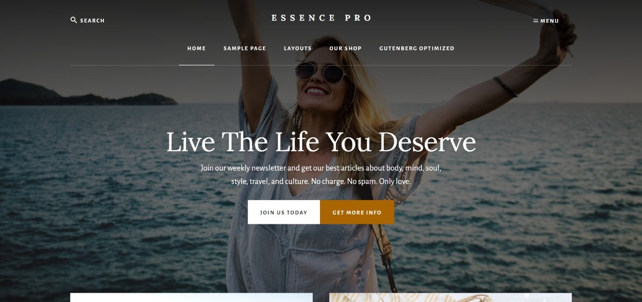 Essence Pro wordpress theme