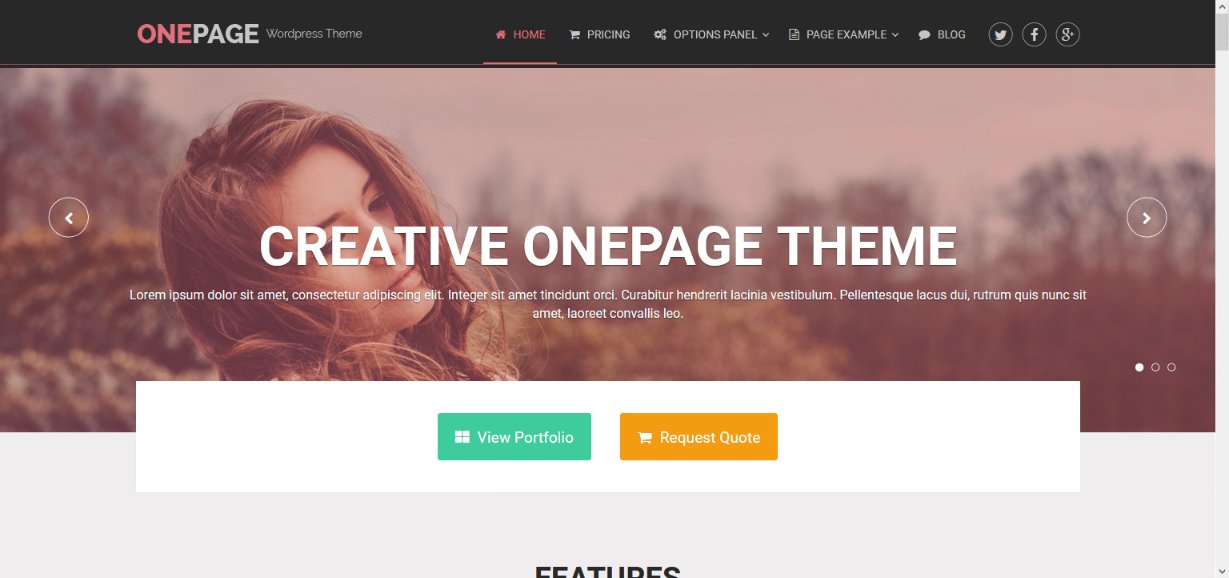 OnePage Theme demo