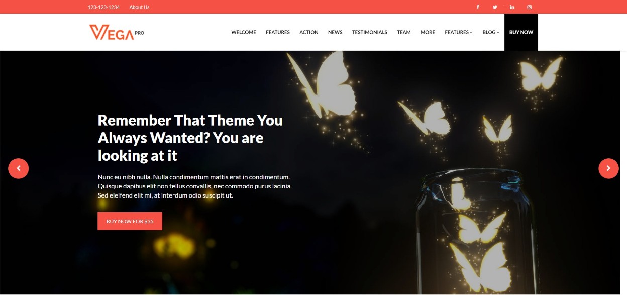 Vega Pro responsive theme