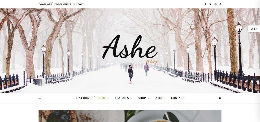 Ashe Free WordPress Blog Theme