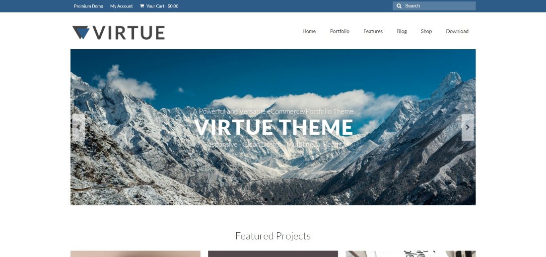 Virtue Theme demo template