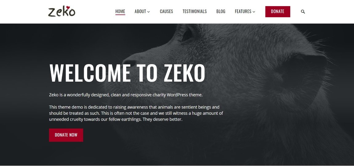 Zeko wordpress theme