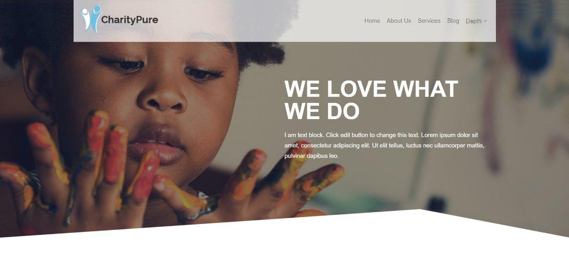 Charity Pro wordpress theme demo