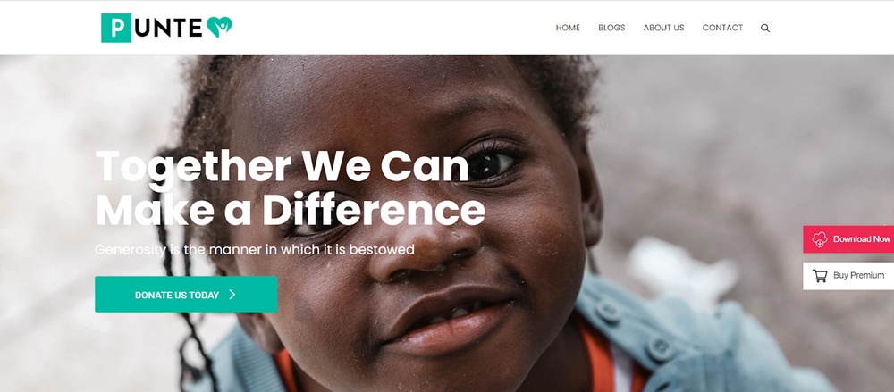 Punte theme demo site