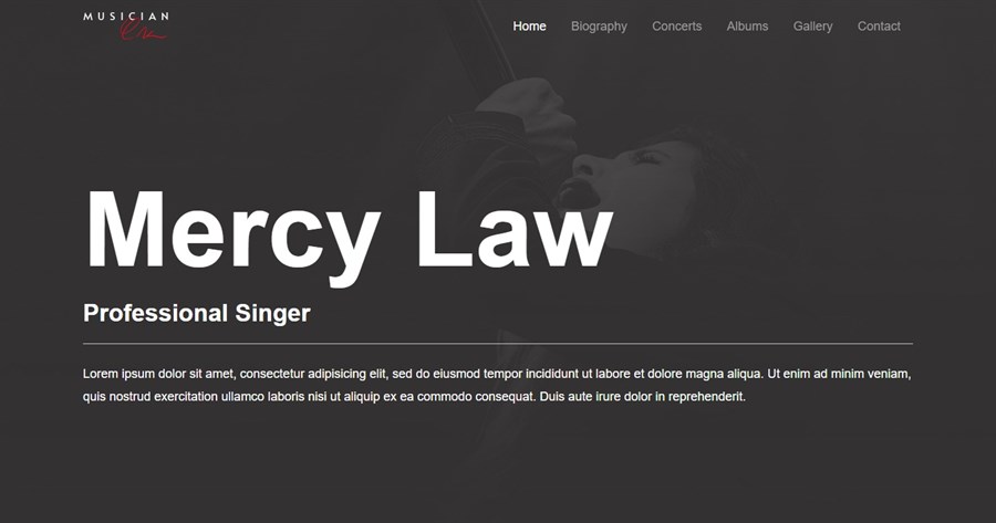 Musician website demo site