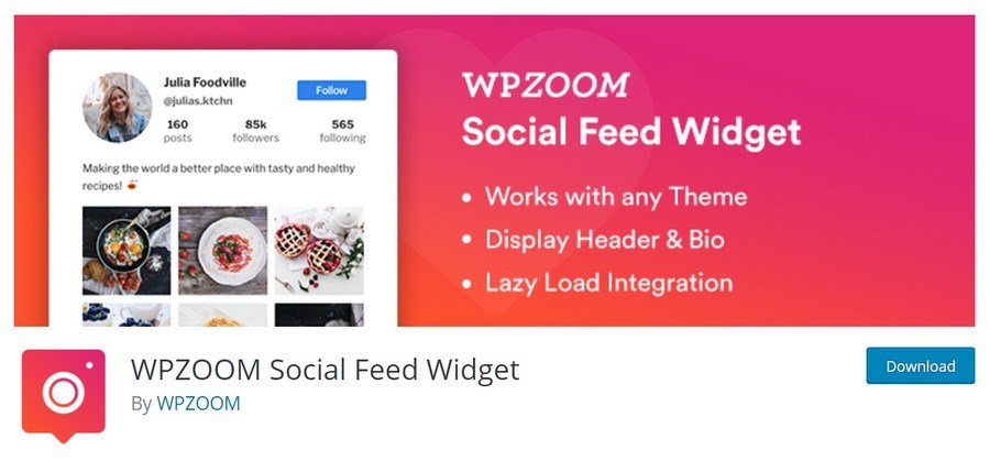 WPZOOM Social Feed Widget