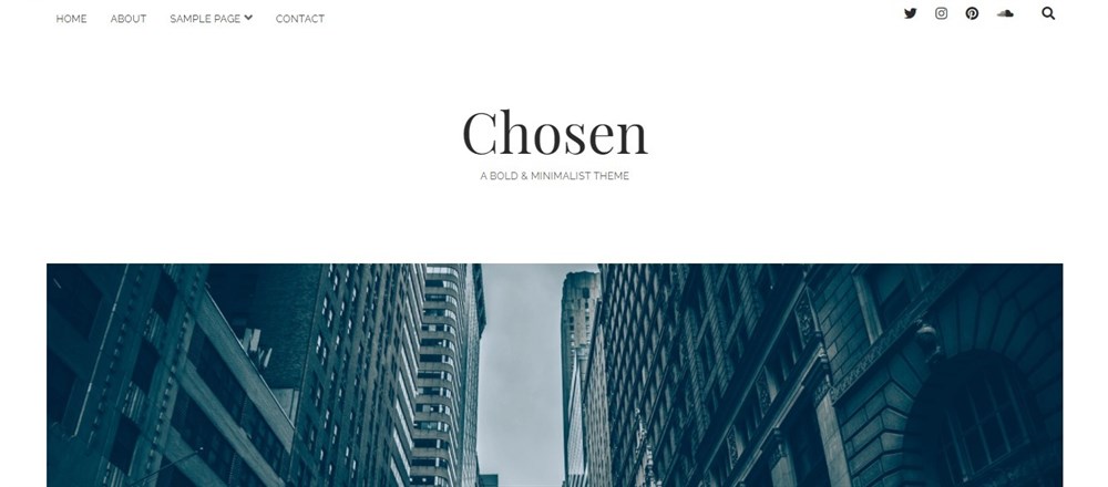 Chosen WordPress author theme