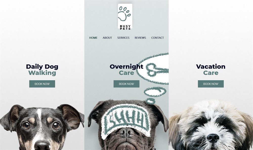 Astra Pet Care Elementor template