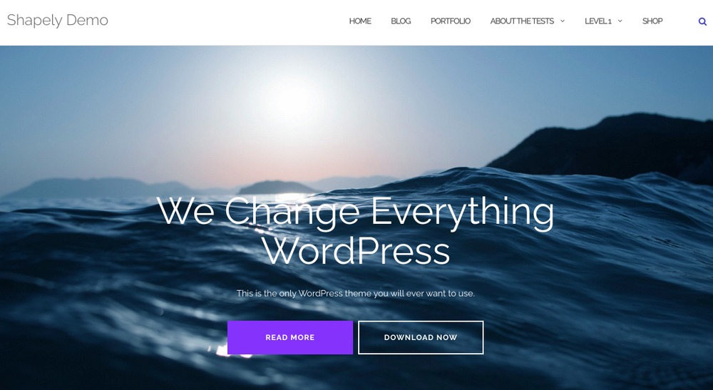 Shapely WordPress Theme