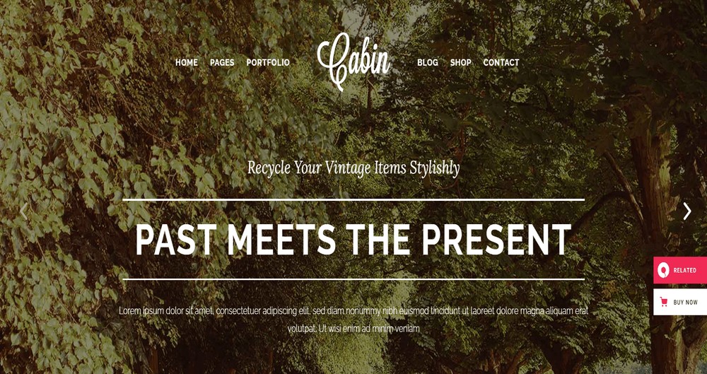 Cabin WordPress theme 