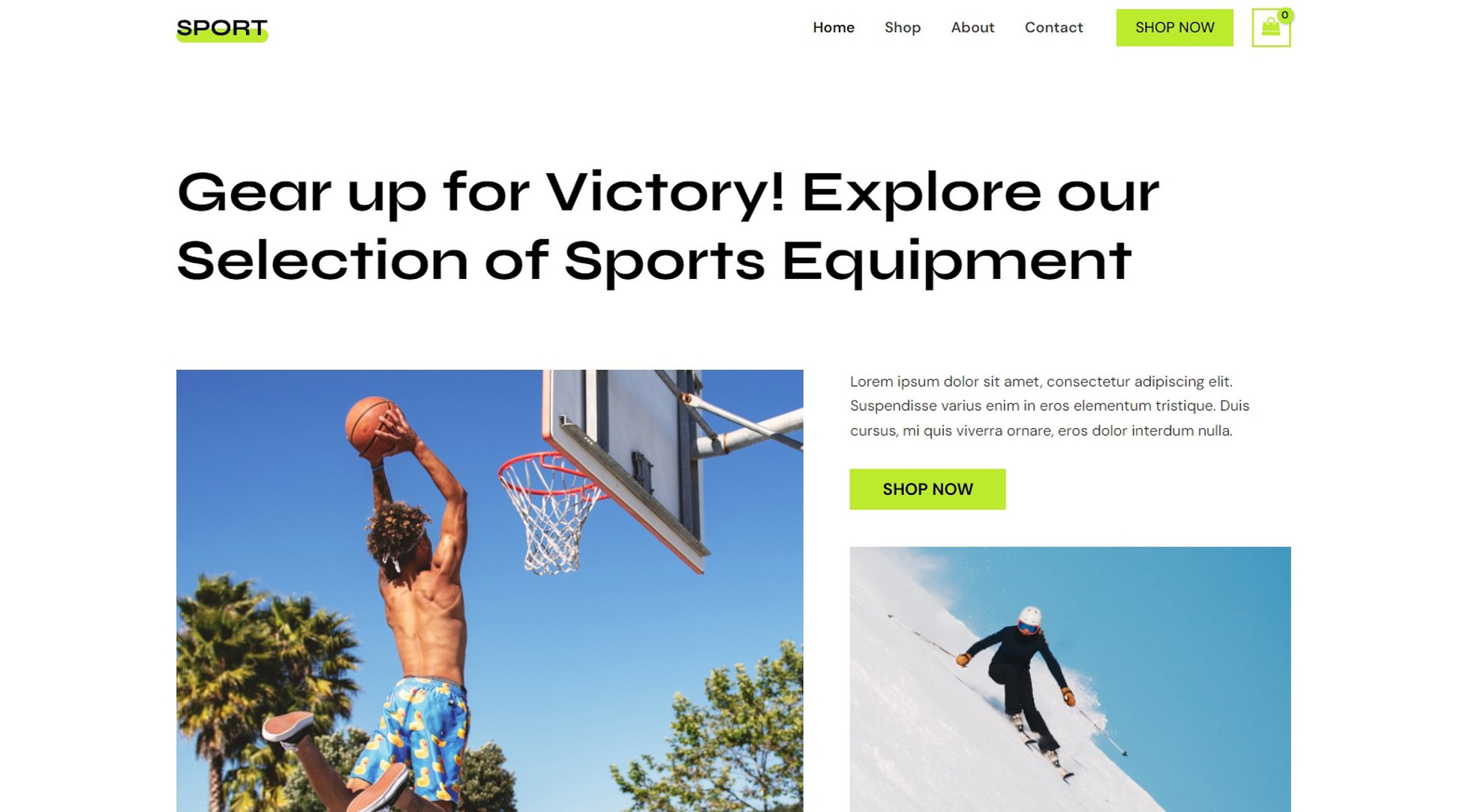 Sports Equipment Store