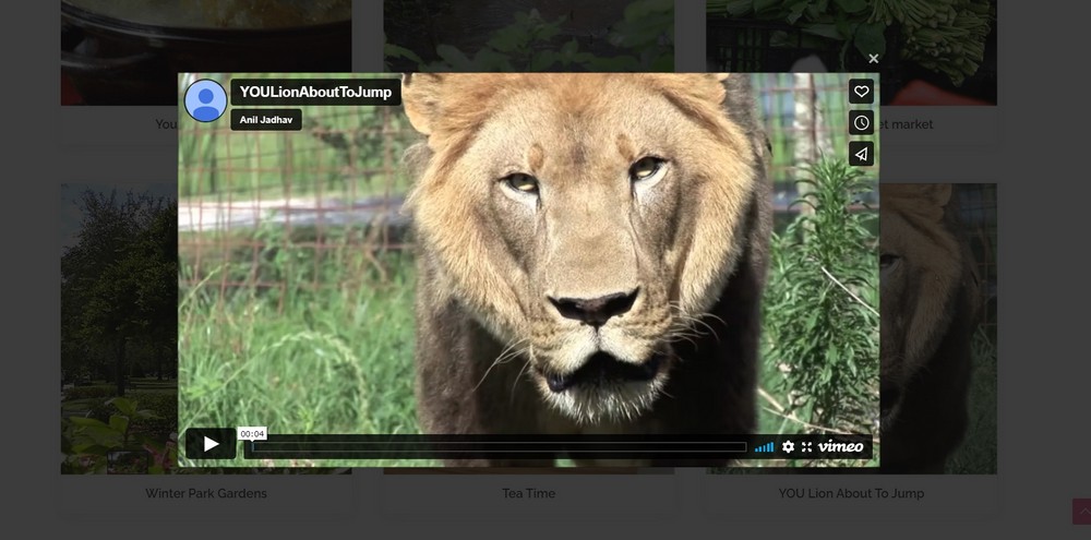 video gallery sample on wpportfolio plugin