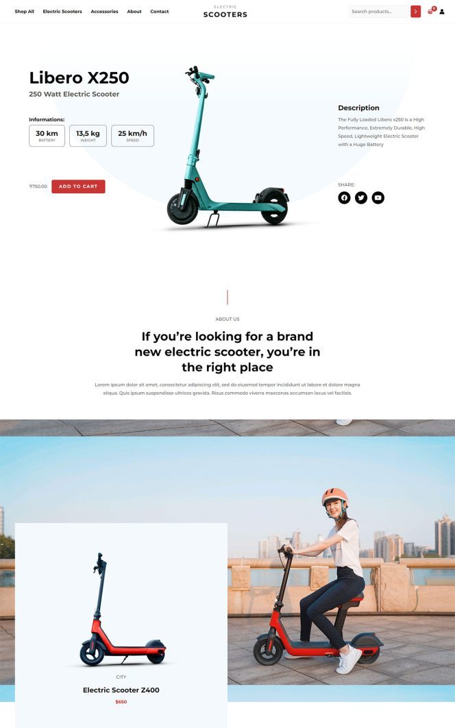 Electric Scooter