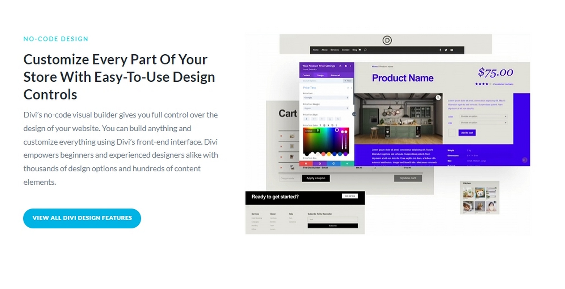 Divi Design and Customization