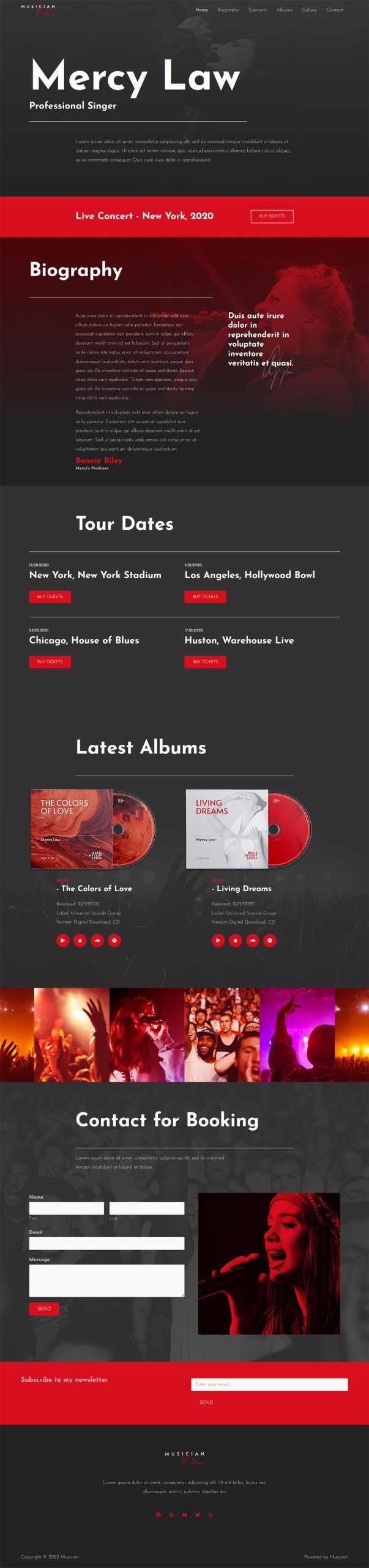 Musician musicians 02